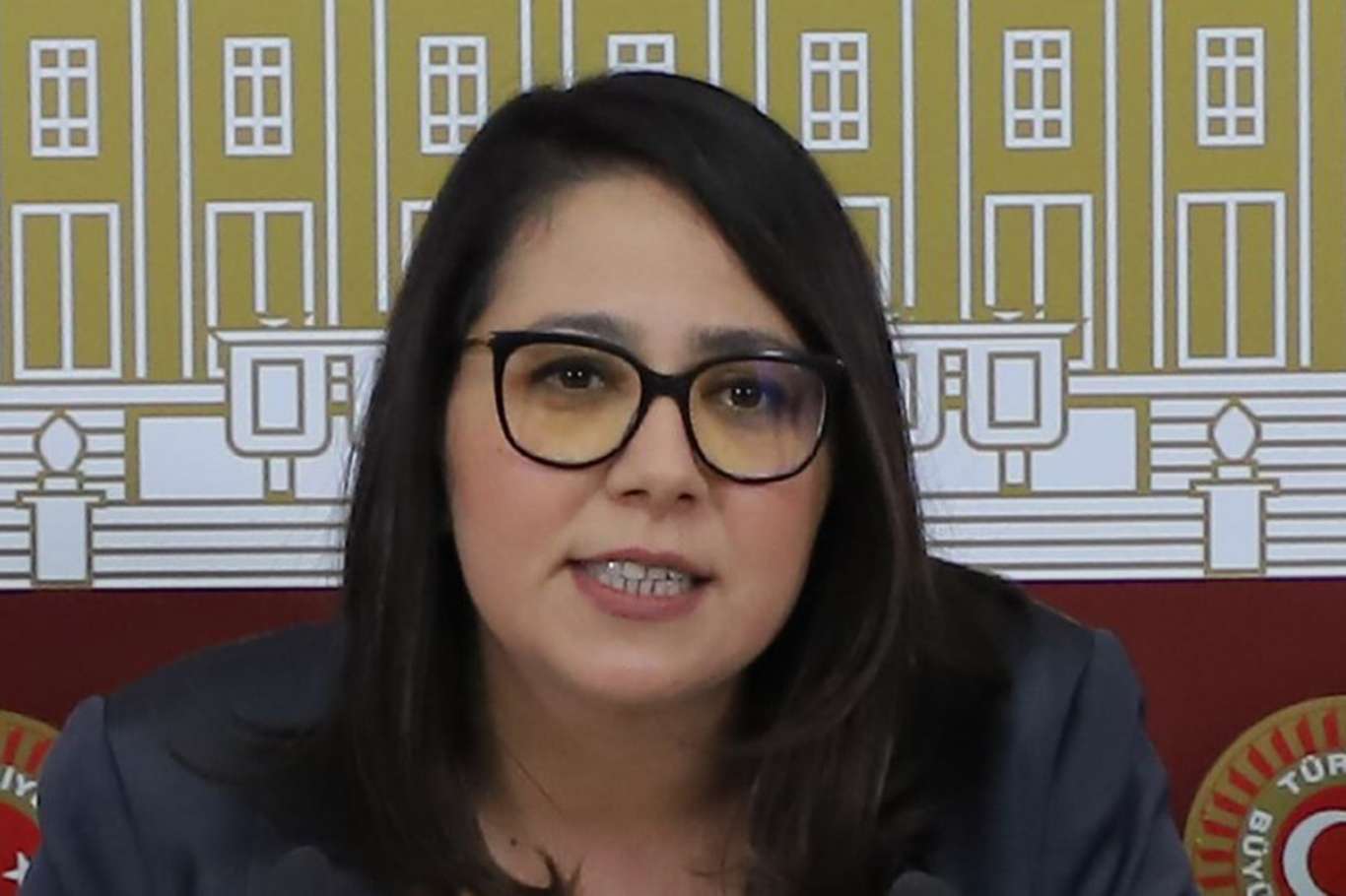 CHP İstanbul Milletvekili Saliha Sera Kadıgil Sütlü partisinden istifa etti